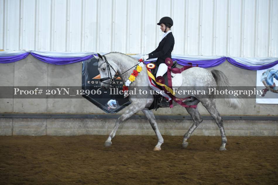 Proof 20YN_12906