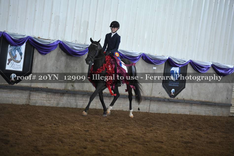 Proof 20YN_12909