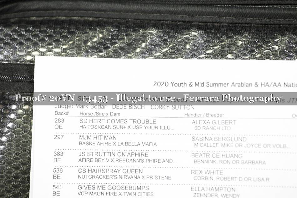 Proof 20YN_13453
