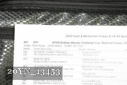 20YN_13453 proof