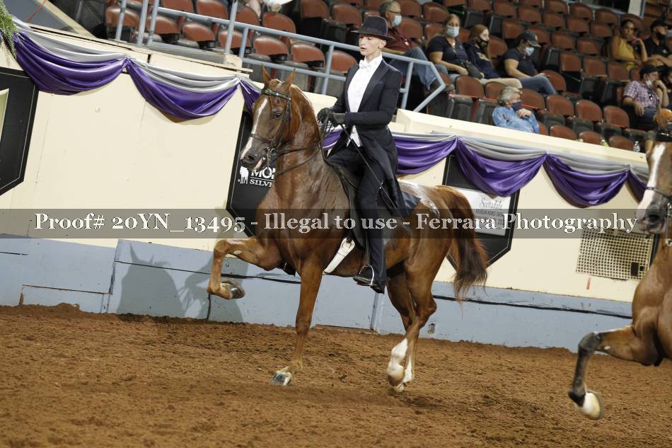 Proof 20YN_13495