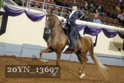 20YN_13697 proof