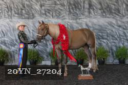 20YN_27204 proof