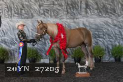 20YN_27205 proof