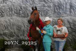20YN_29325 proof