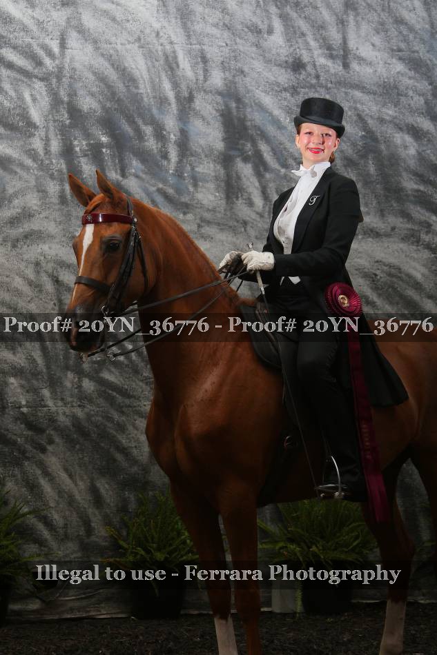 Proof 20YN_36776