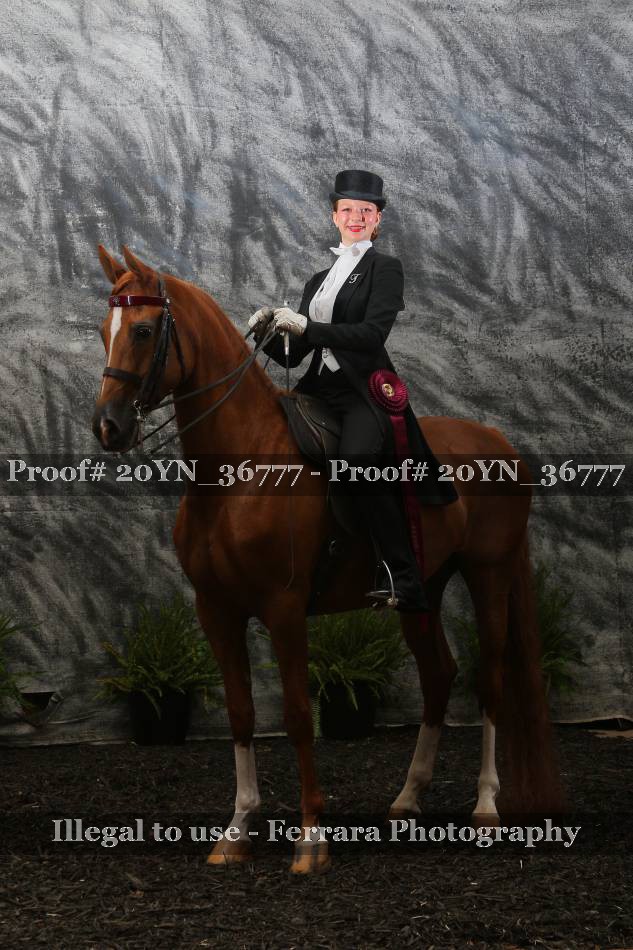 Proof 20YN_36777