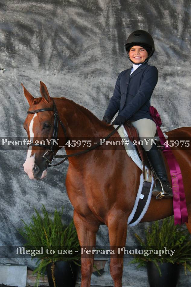 Proof 20YN_45975