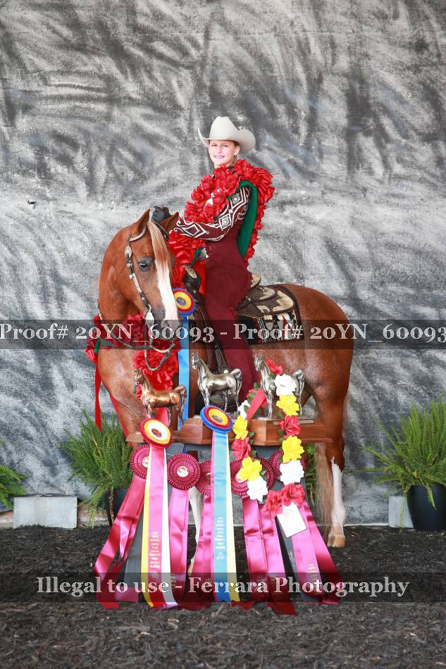 Proof 20YN_60093