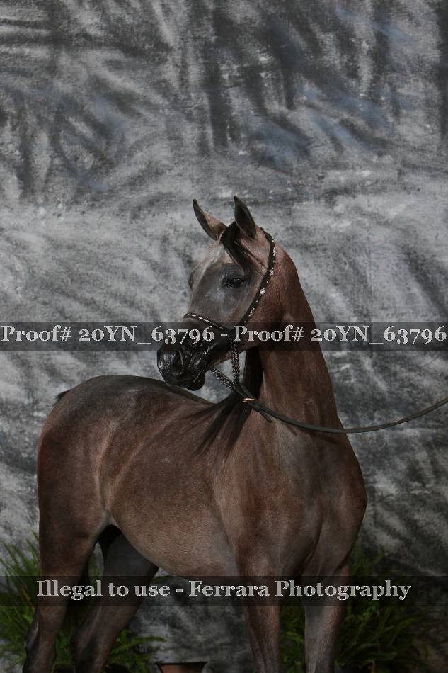 Proof 20YN_63796