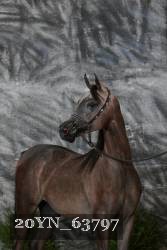 20YN_63797 proof