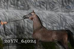 20YN_64024 proof