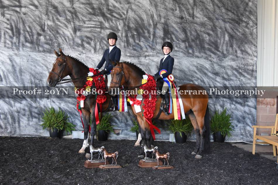 Proof 20YN_66880
