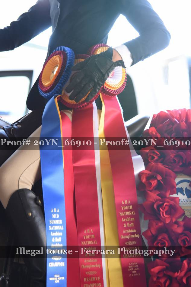 Proof 20YN_66910