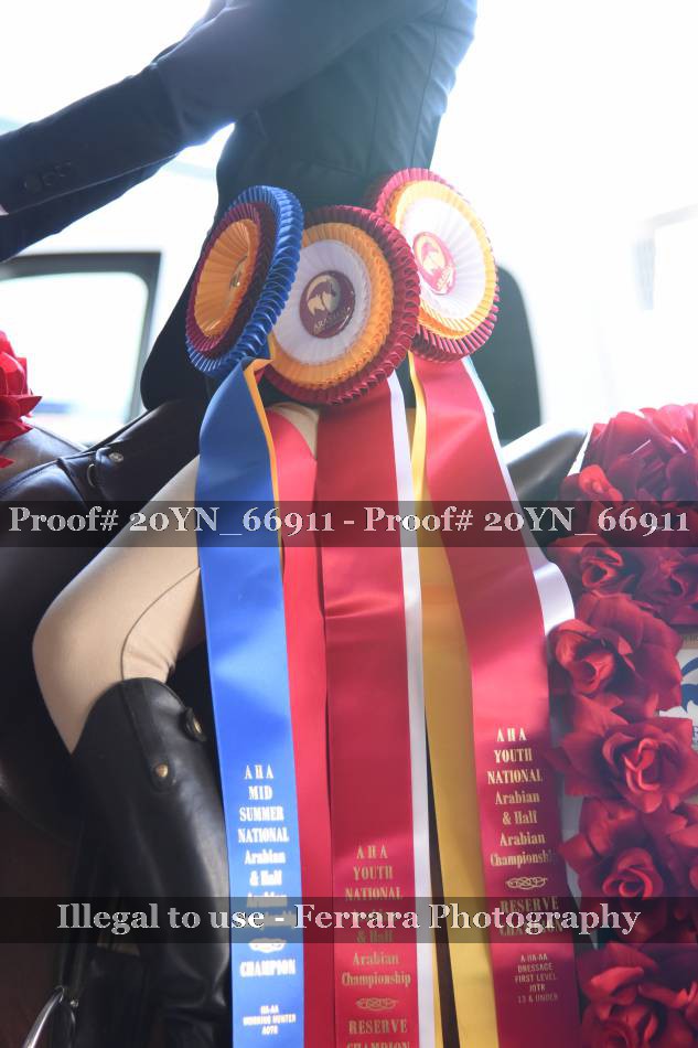 Proof 20YN_66911