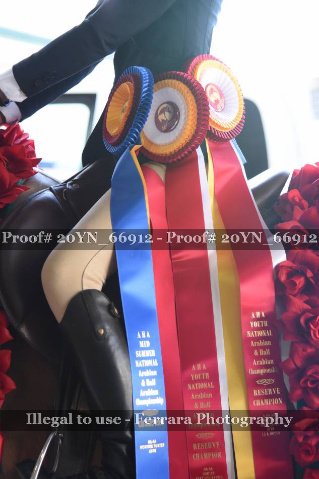Proof 20YN_66912
