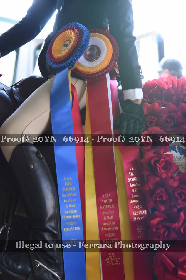 Proof 20YN_66914