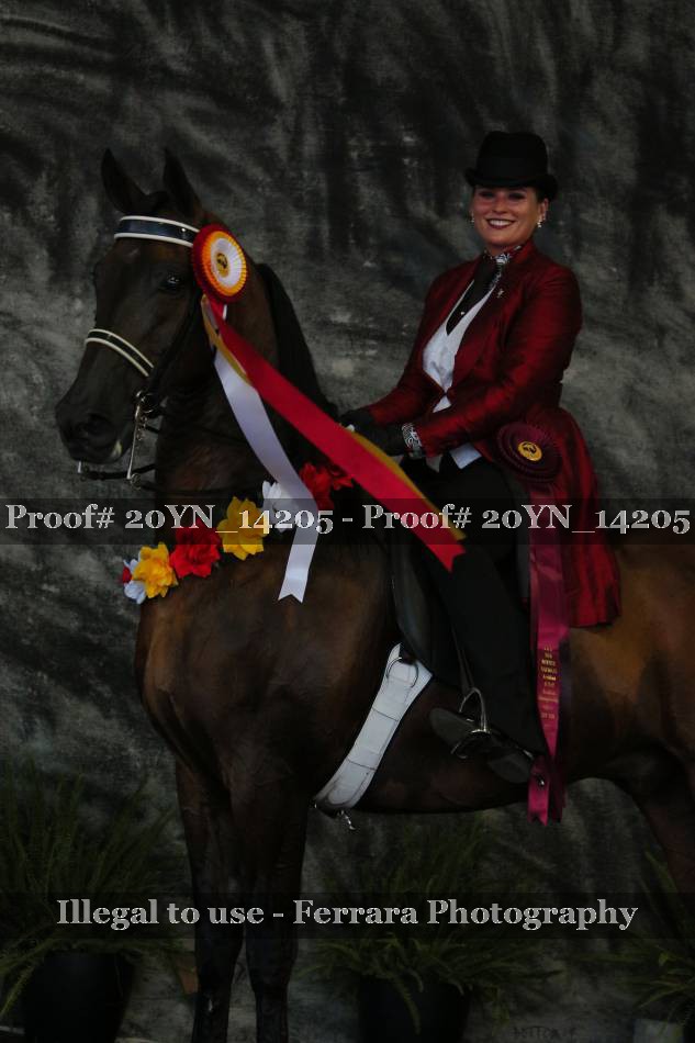 Proof 20YN_14205