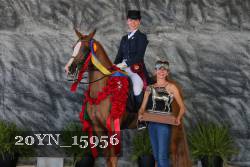 20YN_15956 proof