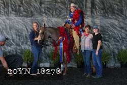 20YN_18278 proof