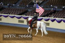 20YN_70666 proof