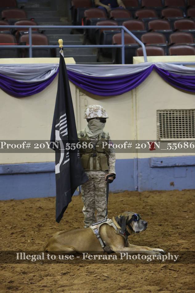 Proof 20YN_55686