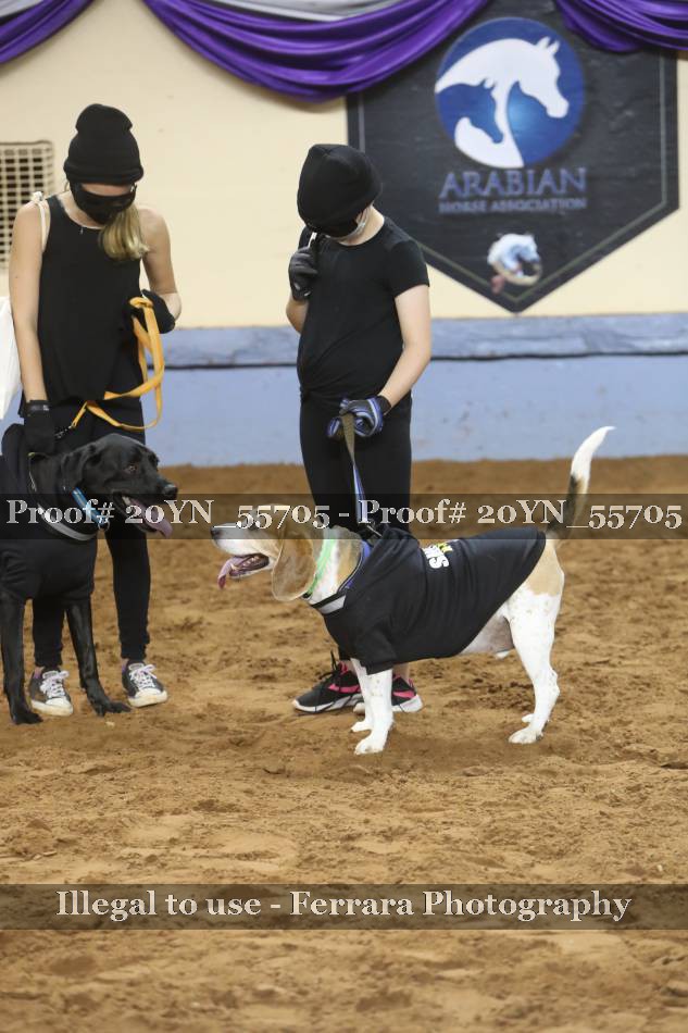 Proof 20YN_55705