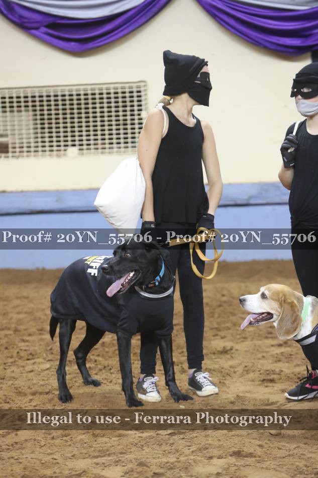 Proof 20YN_55706