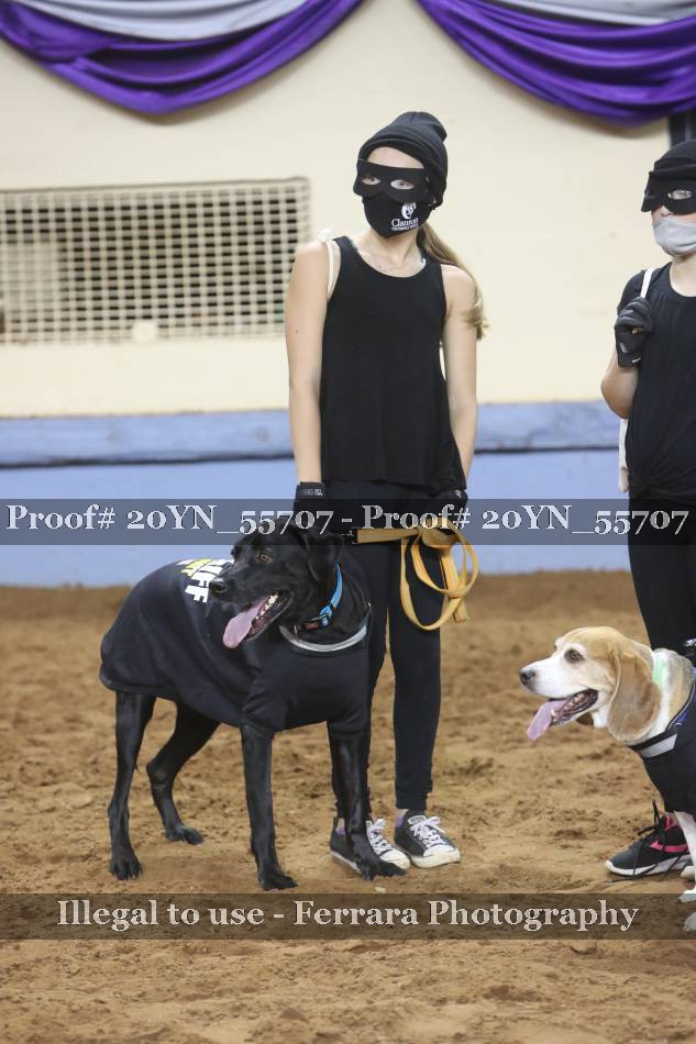 Proof 20YN_55707
