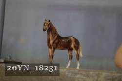 20YN_18231 proof