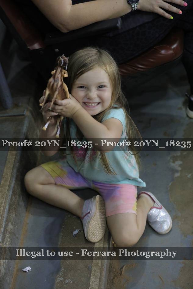 Proof 20YN_18235
