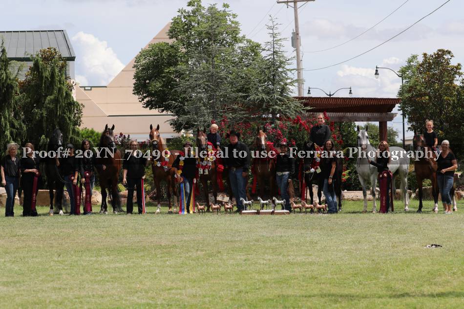 Proof 20YN_70490