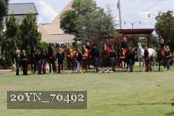 20YN_70492 proof