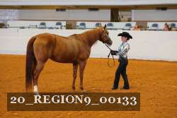 20_REGION9_00133 proof