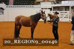 20_REGION9_00146 proof