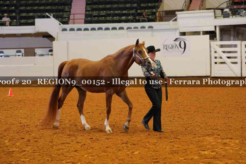 Proof 20_REGION9_00152