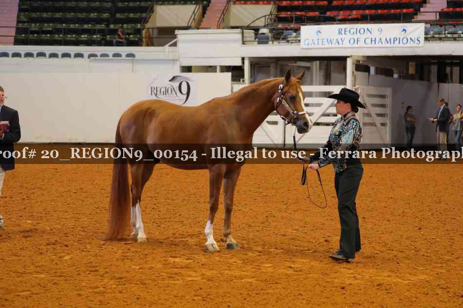 Proof 20_REGION9_00154