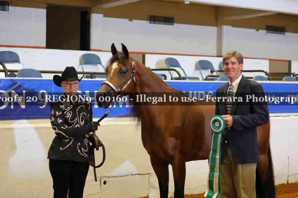 Proof 20_REGION9_00160