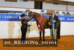 20_REGION9_00161 proof