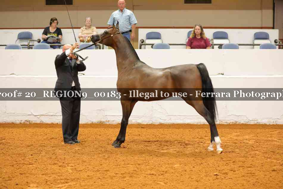 Proof 20_REGION9_00183
