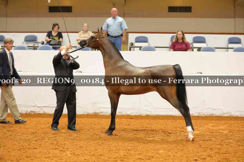 Proof 20_REGION9_00184