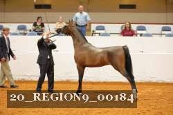 20_REGION9_00184 proof