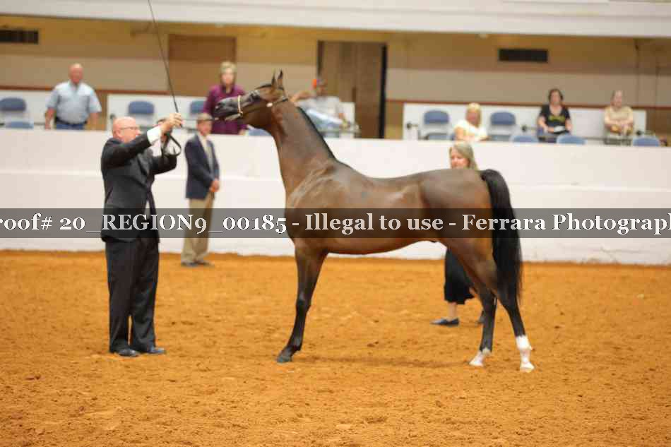 Proof 20_REGION9_00185