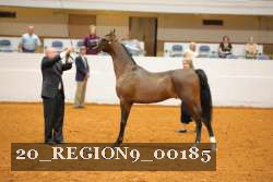 20_REGION9_00185 proof