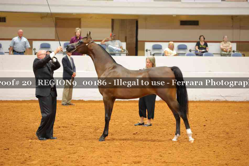 Proof 20_REGION9_00186