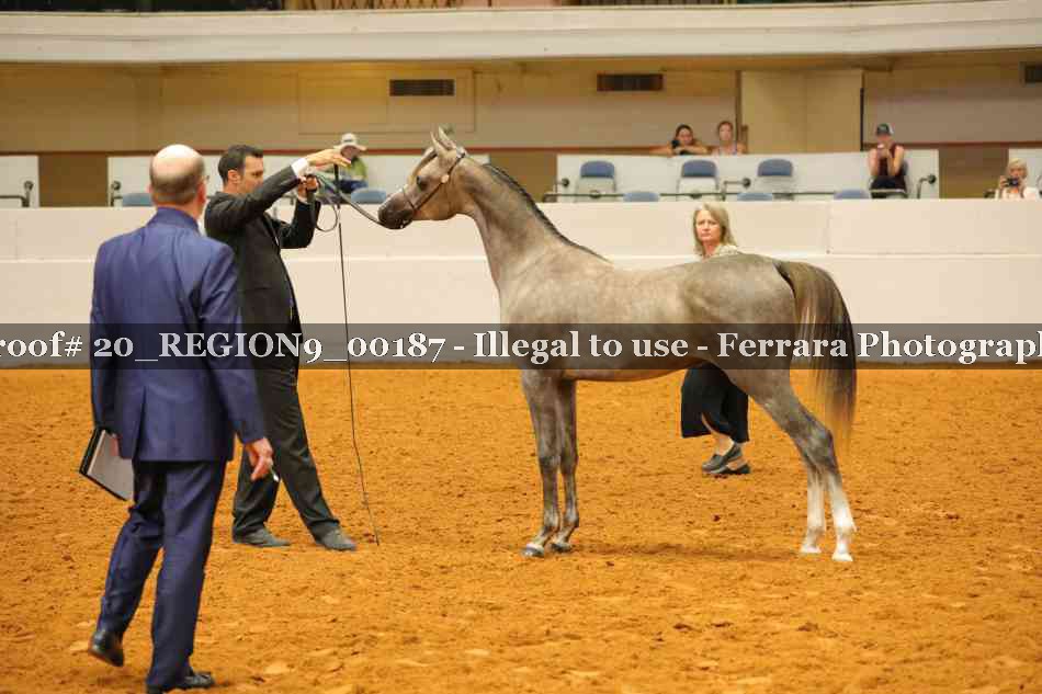 Proof 20_REGION9_00187