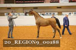 20_REGION9_00188 proof