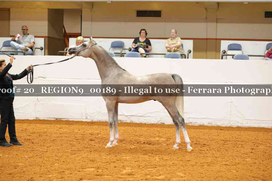 Proof 20_REGION9_00189