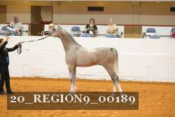 20_REGION9_00189 proof