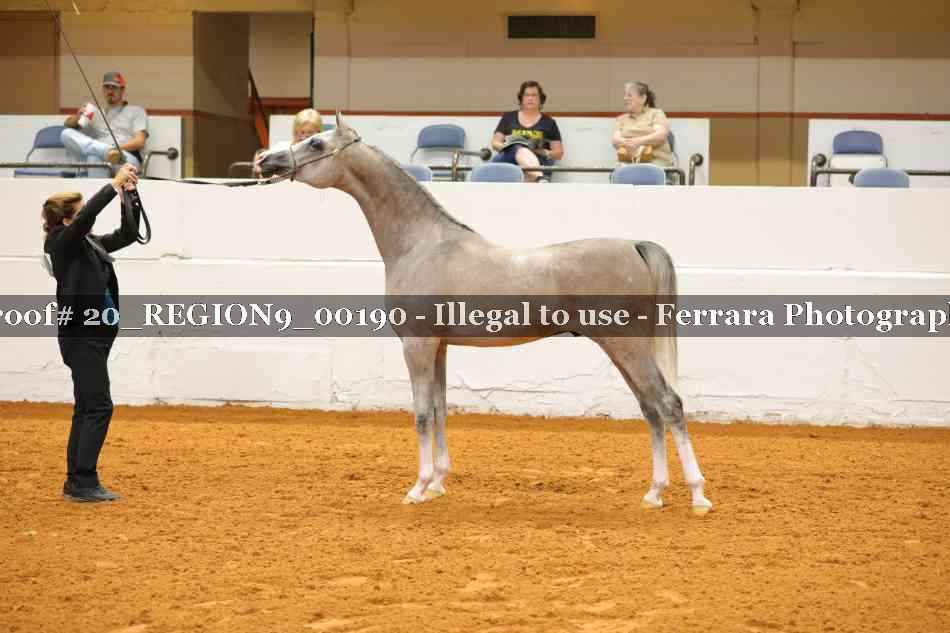 Proof 20_REGION9_00190